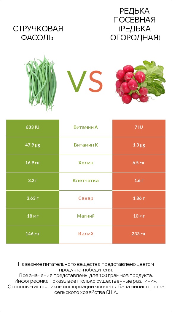 Стручковая фасоль vs Редька посевная (Редька огородная) infographic