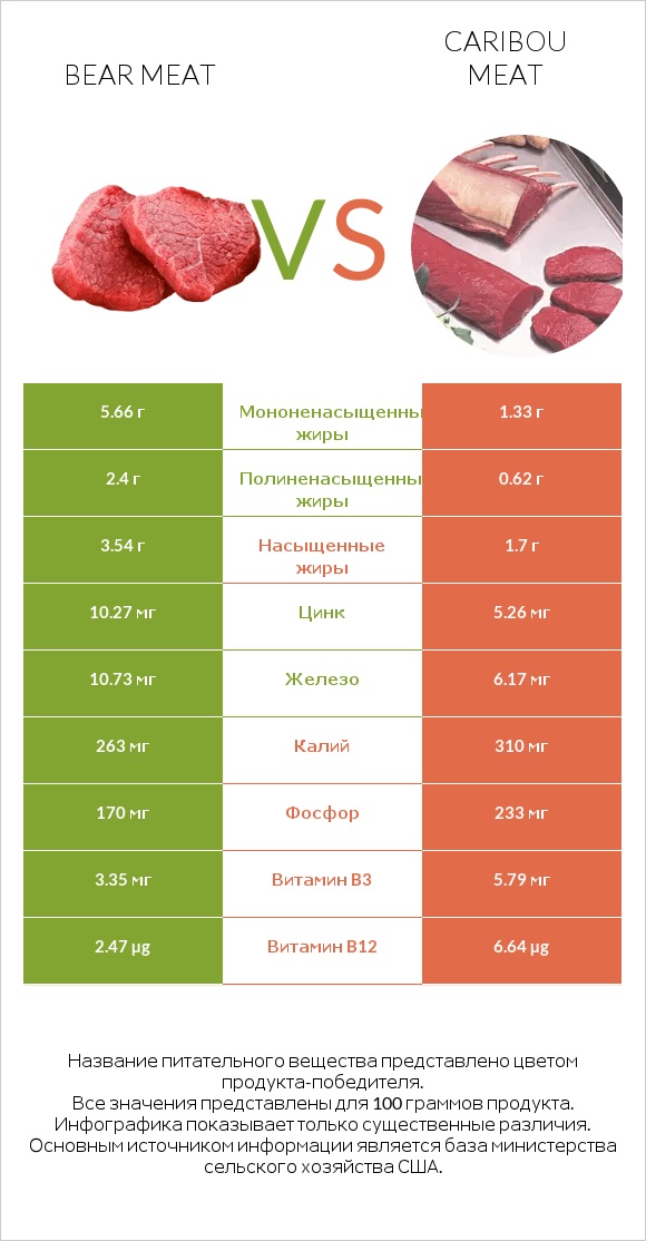 Bear meat vs Caribou meat infographic