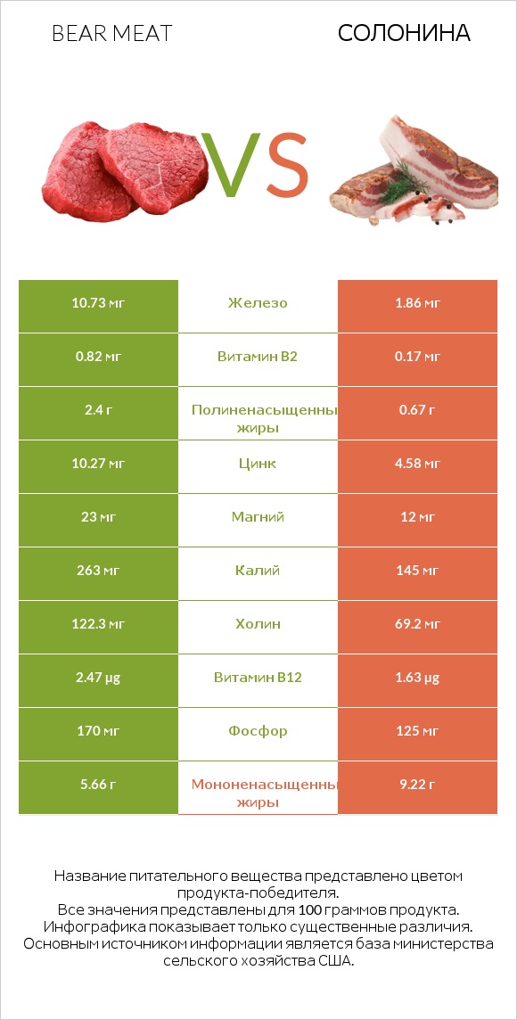 Bear meat vs Солонина infographic