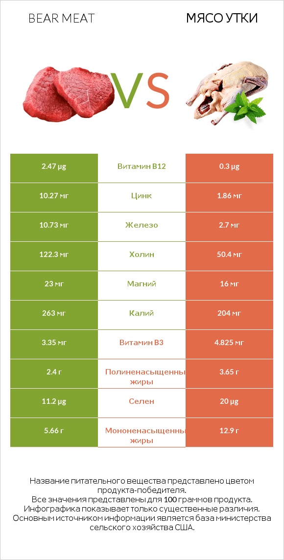 Bear meat vs Мясо утки infographic