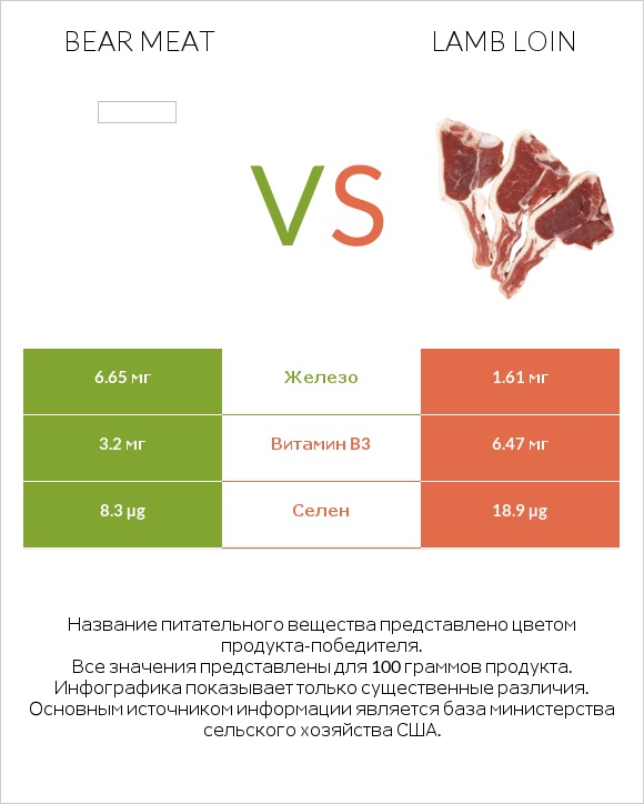 Bear meat vs Lamb loin infographic