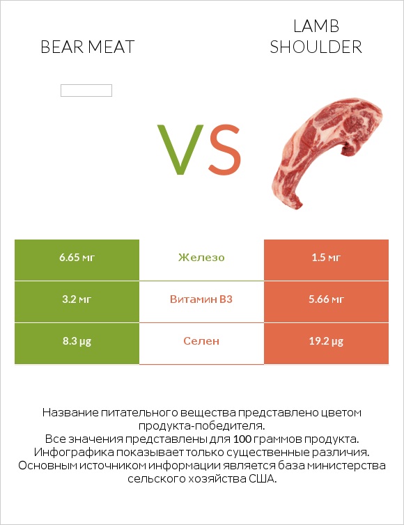 Bear meat vs Lamb shoulder infographic