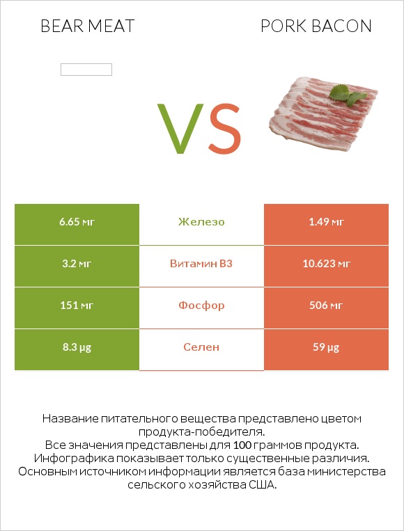Bear meat vs Pork bacon infographic