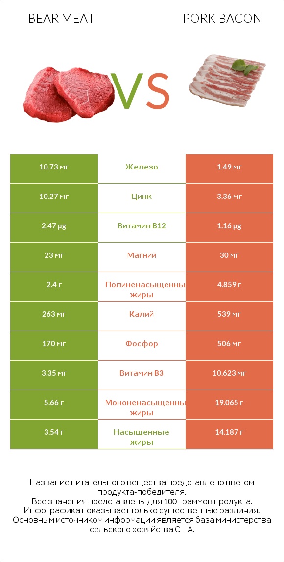 Bear meat vs Pork bacon infographic