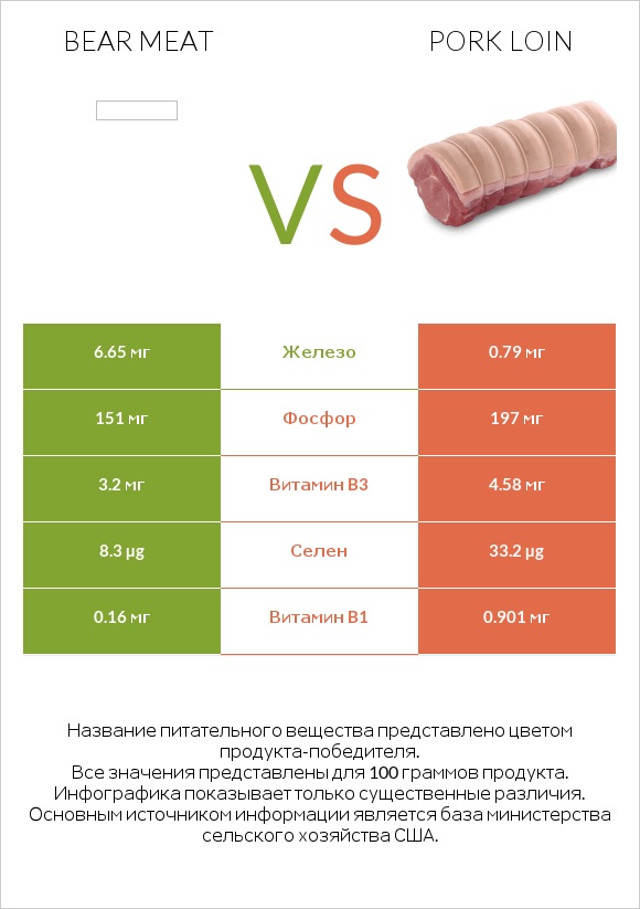 Bear meat vs Pork loin infographic