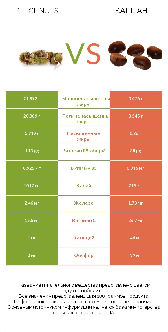 Beechnuts vs Каштан infographic