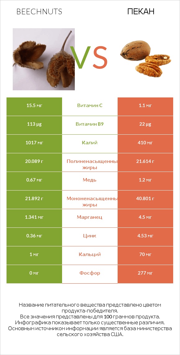 Beechnuts vs Пекан infographic