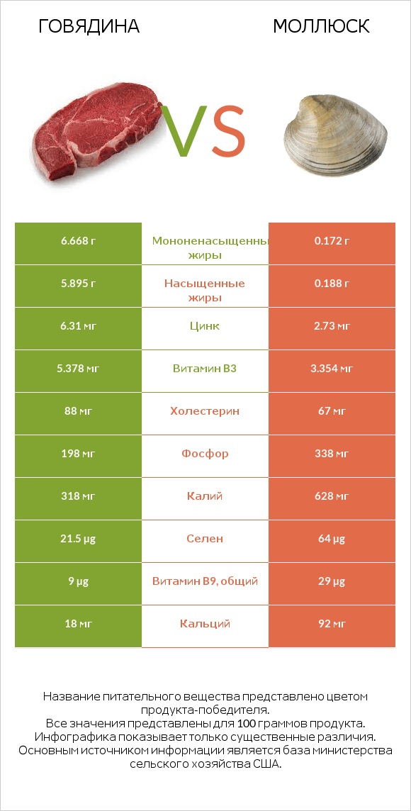 Говядина vs Моллюск infographic