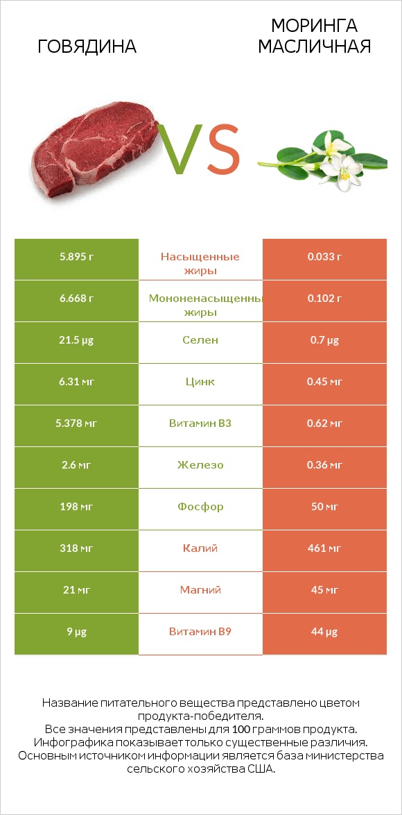 Говядина vs Моринга масличная infographic