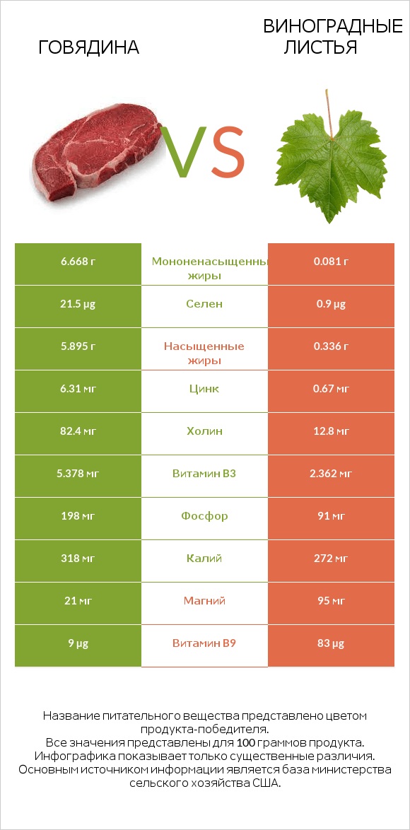 Говядина vs Виноградные листья infographic