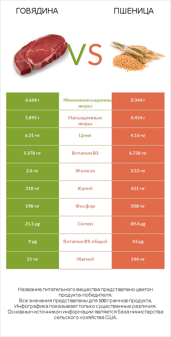 Говядина vs Пшеница infographic