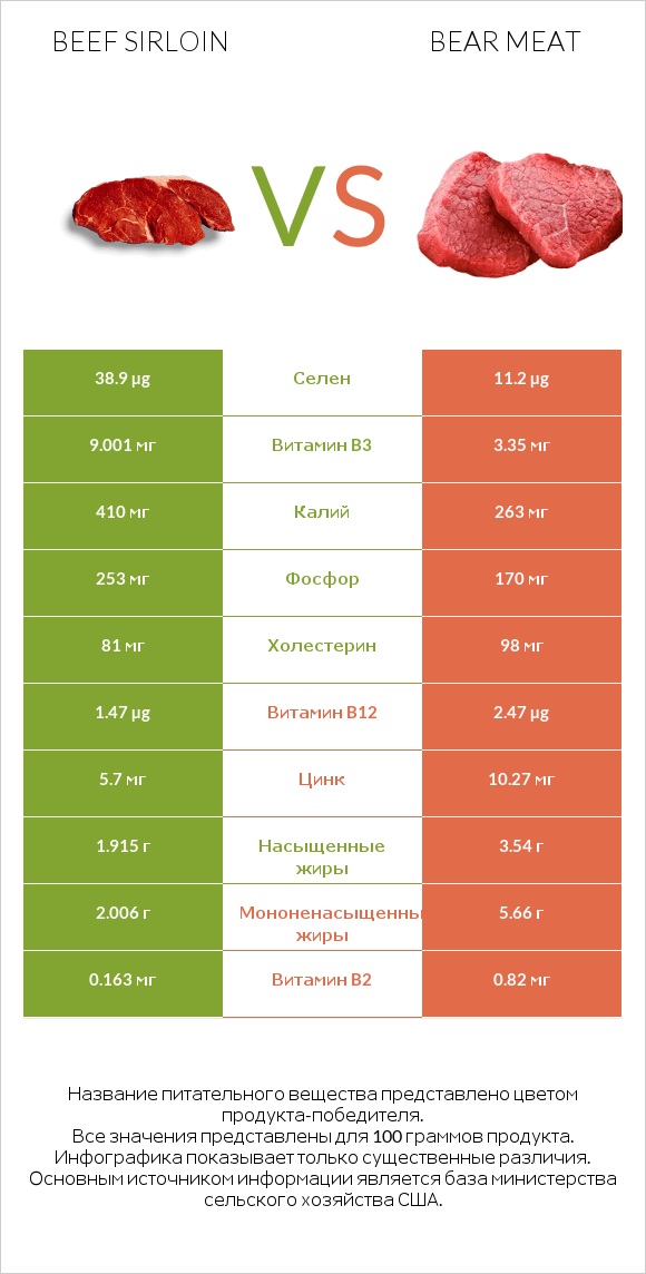 Beef sirloin vs Bear meat infographic