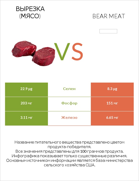 Вырезка (мясо) vs Bear meat infographic