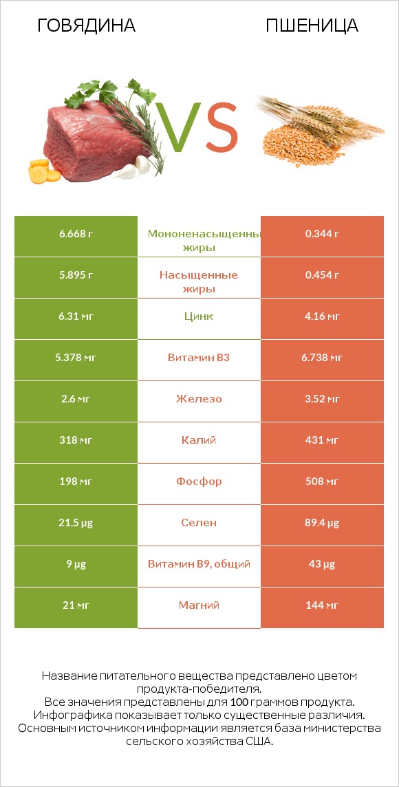 Говядина vs Пшеница infographic