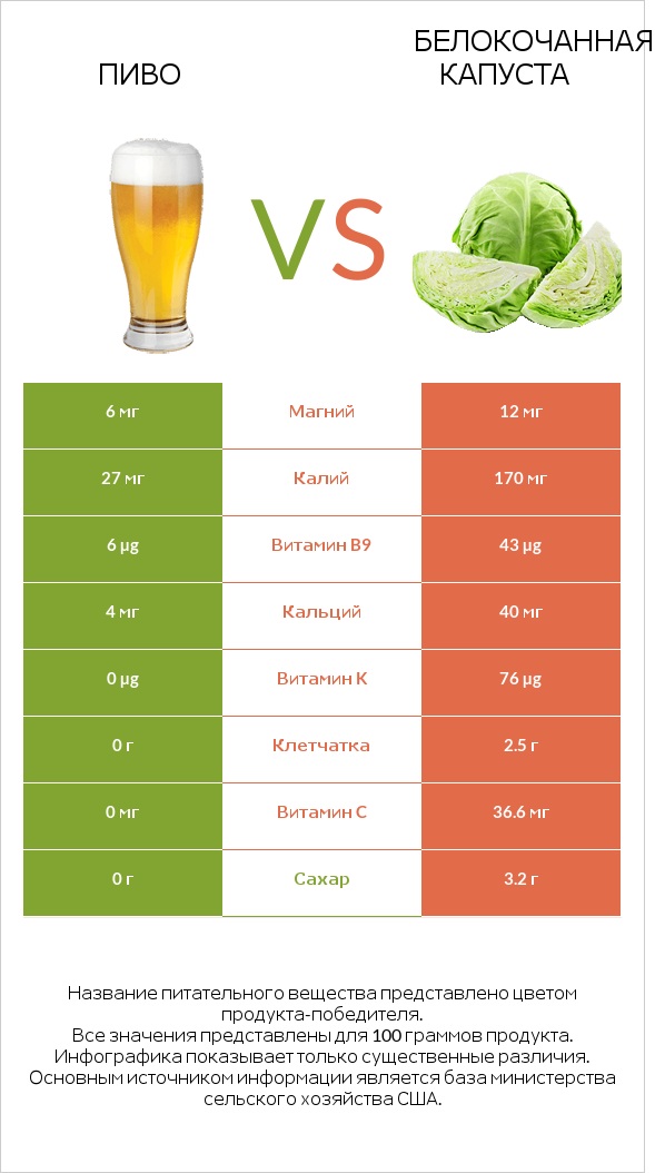 Пиво vs Белокочанная капуста infographic
