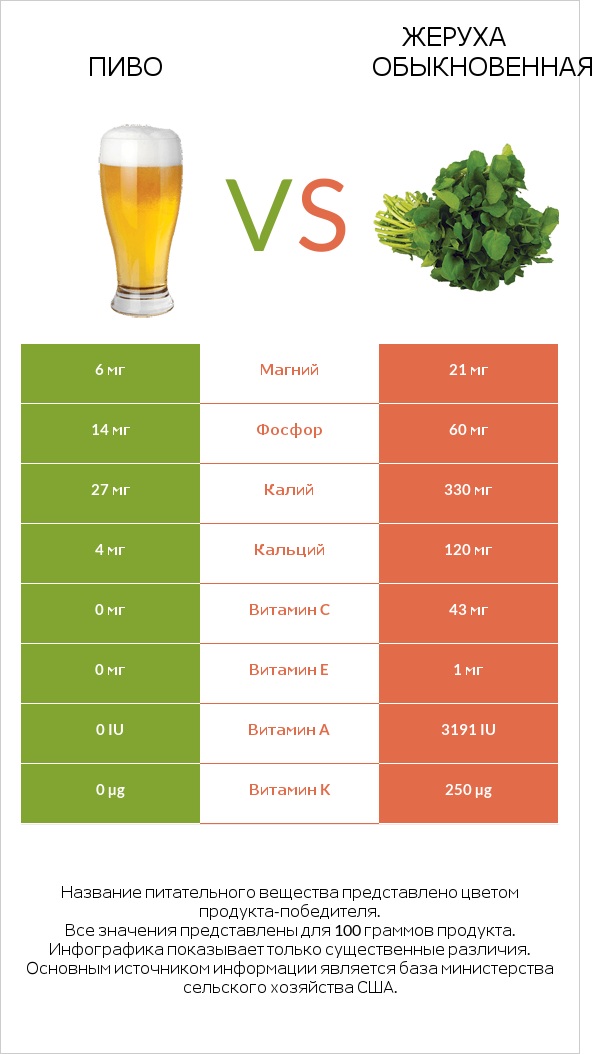 Пиво vs Жеруха обыкновенная infographic