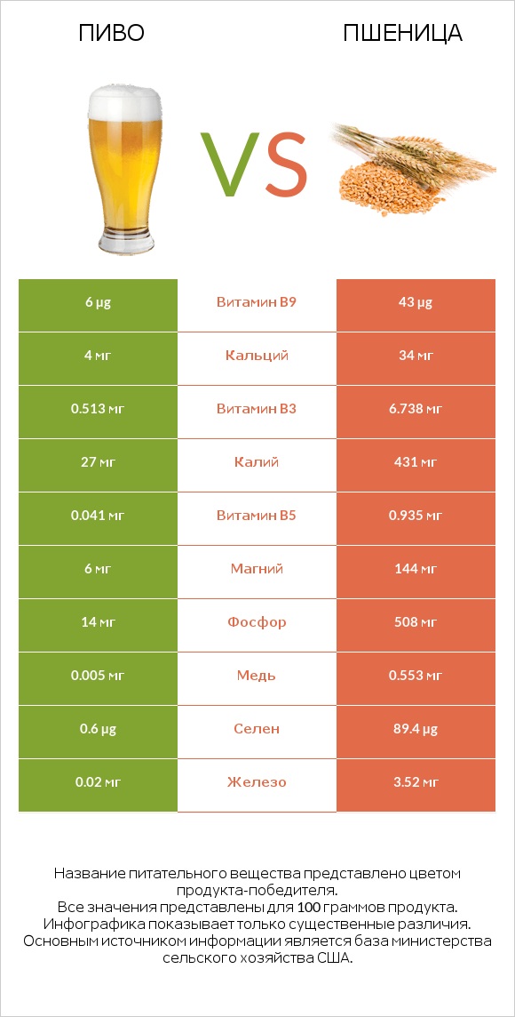 Пиво vs Пшеница infographic