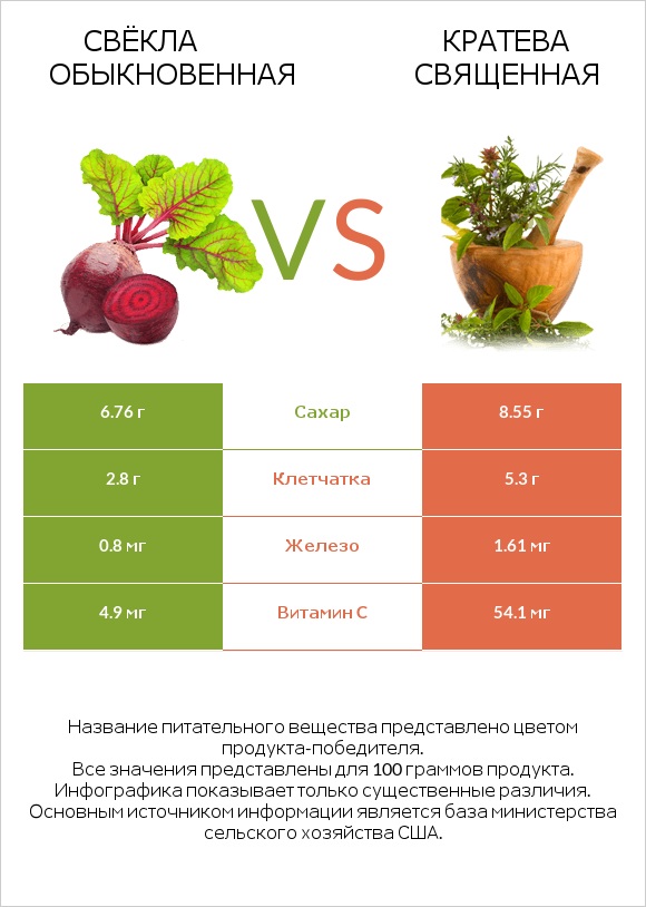 Свёкла обыкновенная vs Кратева священная infographic