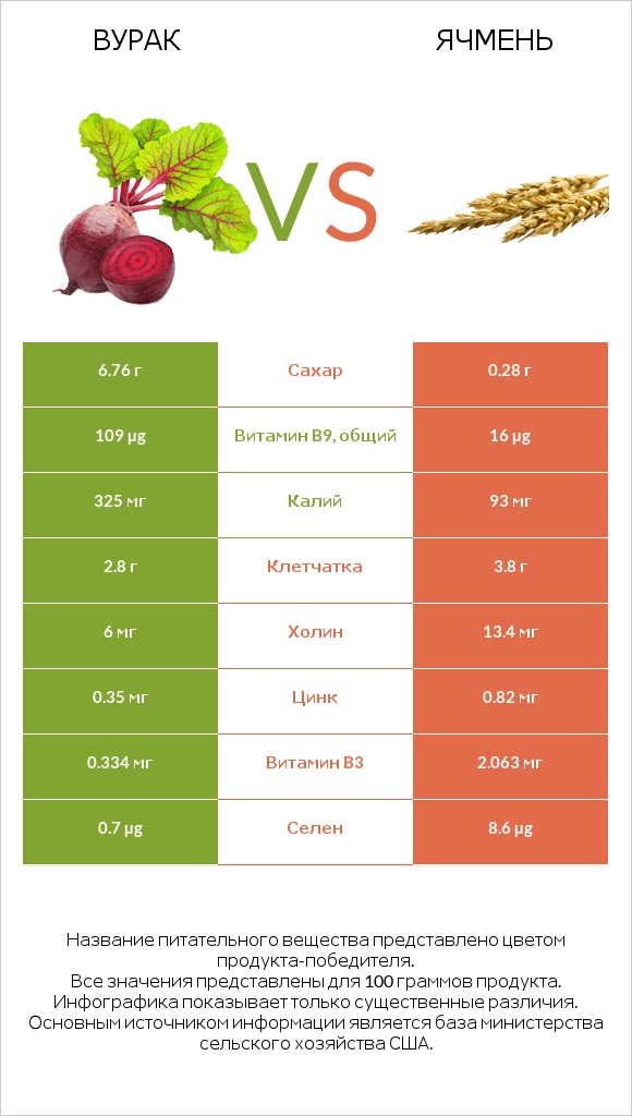 Свёкла обыкновенная vs Ячмень infographic