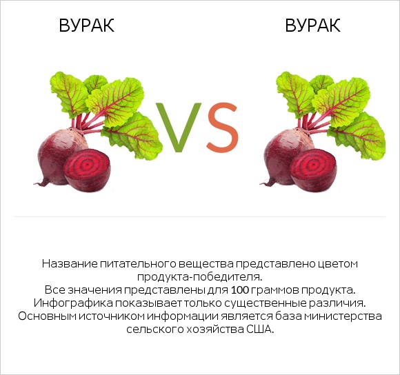 Свёкла обыкновенная vs Свёкла обыкновенная infographic