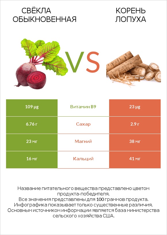 Вурак vs Burdock root infographic