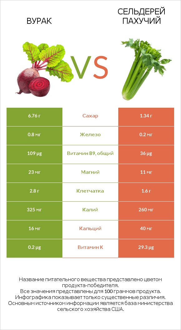 Свёкла обыкновенная vs Сельдерей пахучий infographic