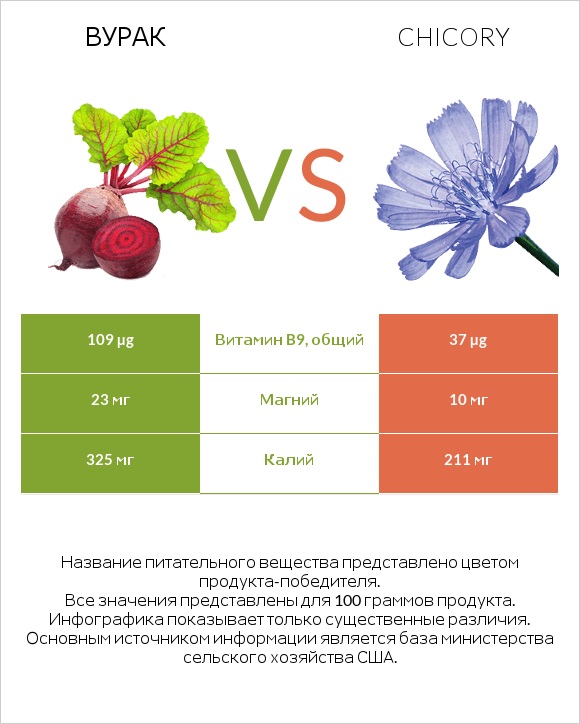 Вурак vs Chicory infographic