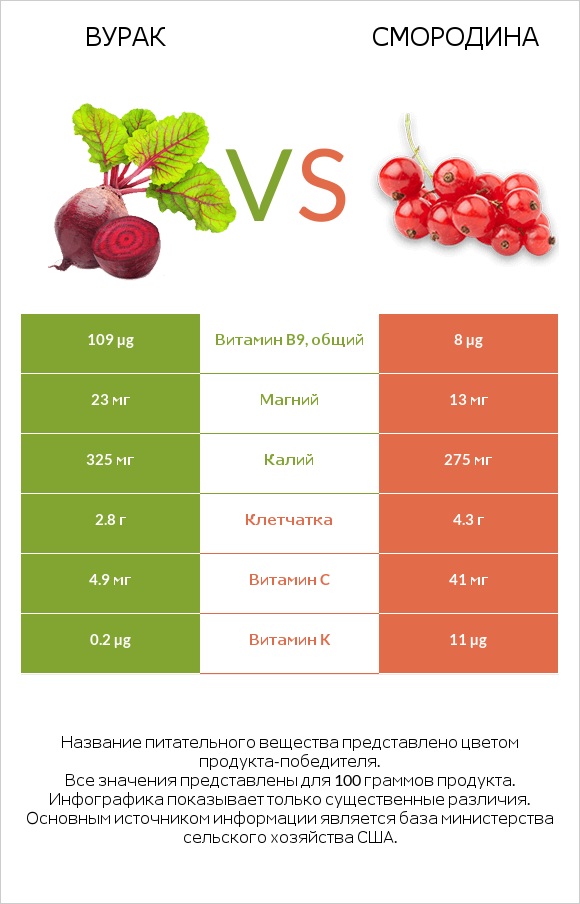 Свёкла обыкновенная vs Смородина infographic