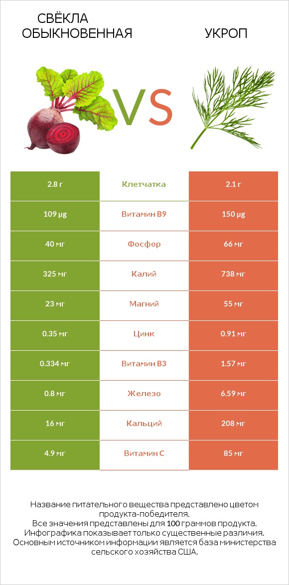 Свёкла обыкновенная vs Укроп infographic