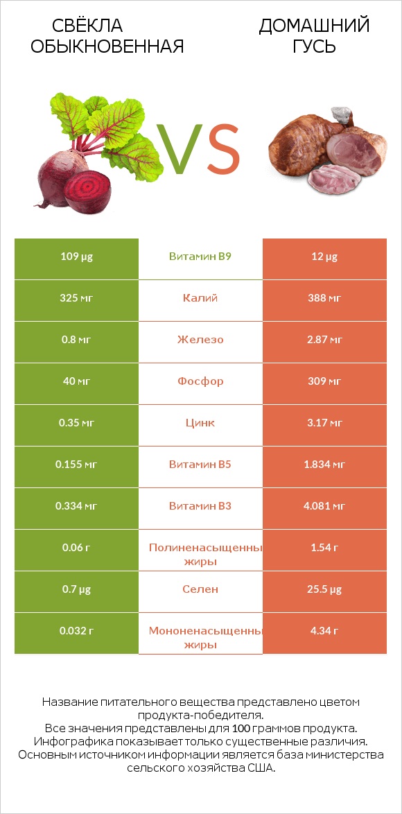 Свёкла обыкновенная vs Домашний гусь infographic