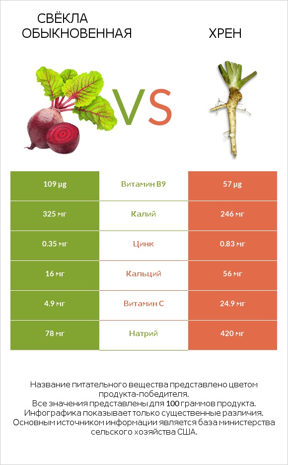 Свёкла обыкновенная vs Хрен infographic