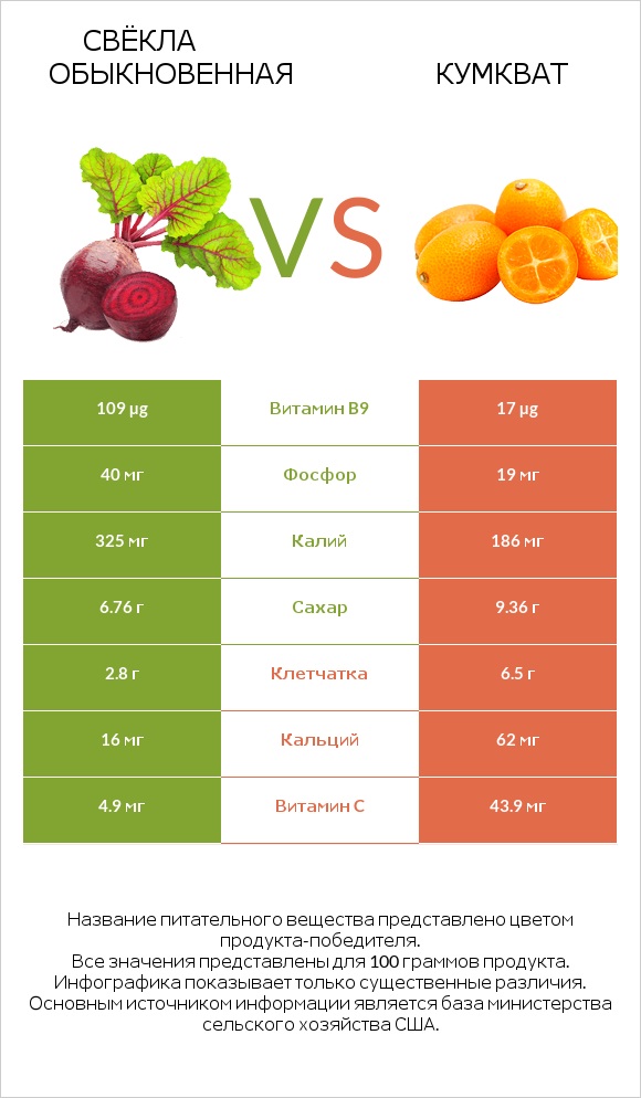 Свёкла обыкновенная vs Кумкват infographic