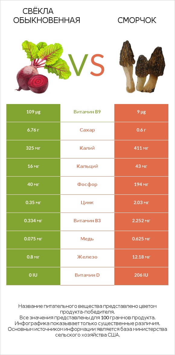 Свёкла обыкновенная vs Сморчок infographic