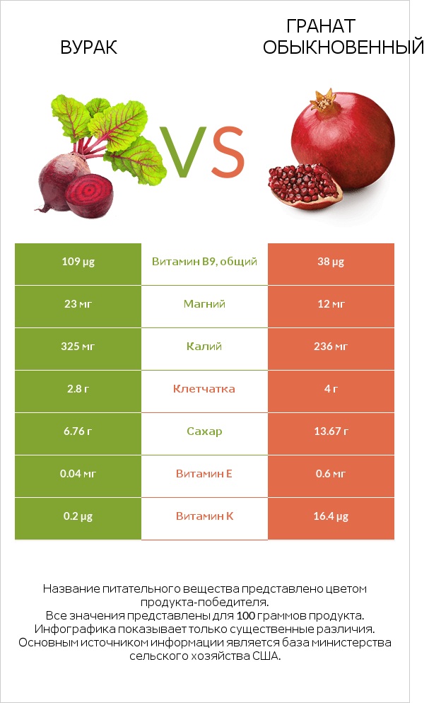 Свёкла обыкновенная vs Гранат обыкновенный infographic