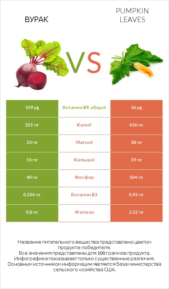 Вурак vs Pumpkin leaves infographic