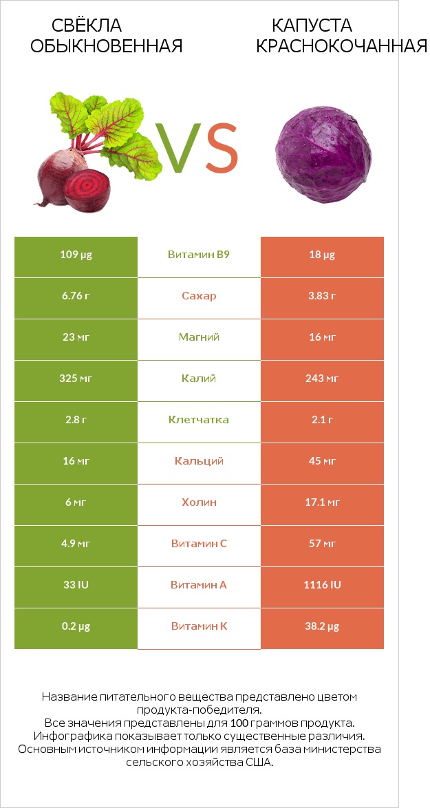 Свёкла обыкновенная vs Капуста краснокочанная infographic