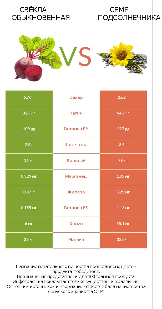 Свёкла обыкновенная vs Семя подсолнечника infographic