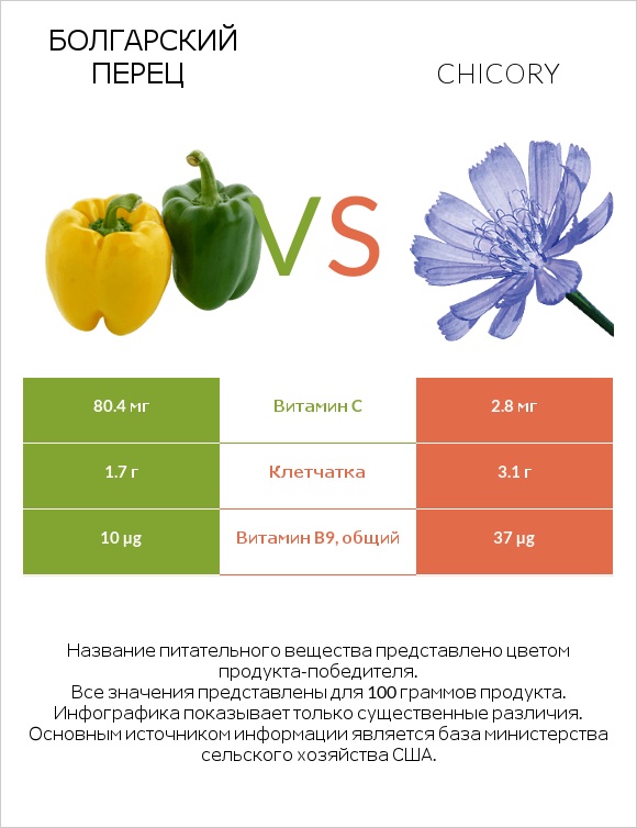 Болгарский перец vs Chicory infographic