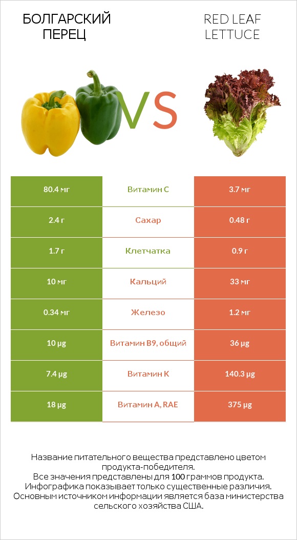 Болгарский перец vs Red leaf lettuce infographic