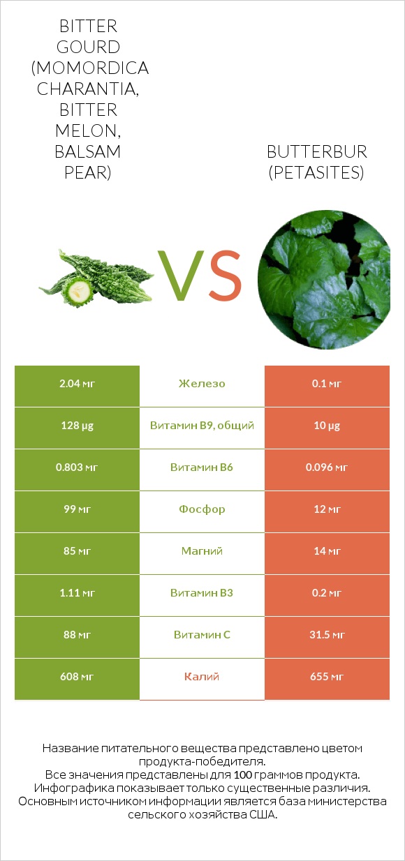 Bitter gourd (Momordica charantia, bitter melon, balsam pear) vs Butterbur infographic