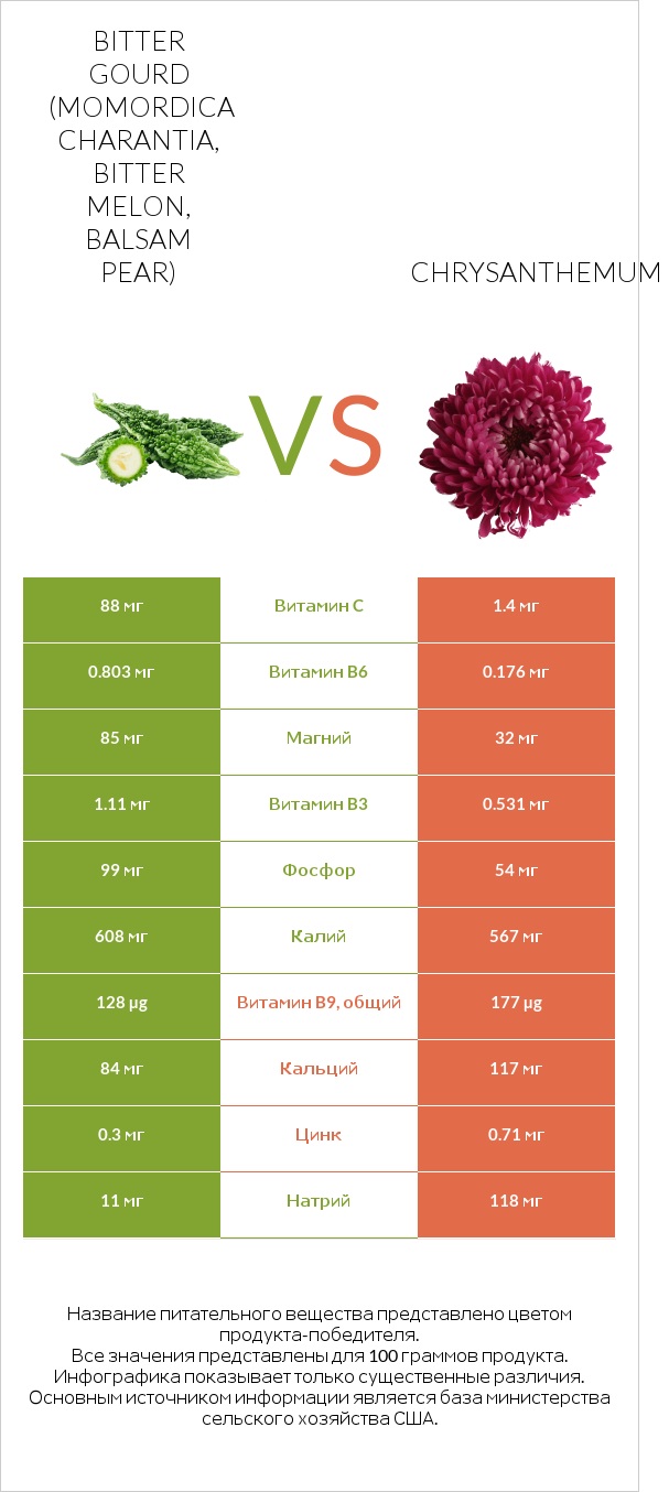 Bitter gourd (Momordica charantia, bitter melon, balsam pear) vs Chrysanthemum infographic