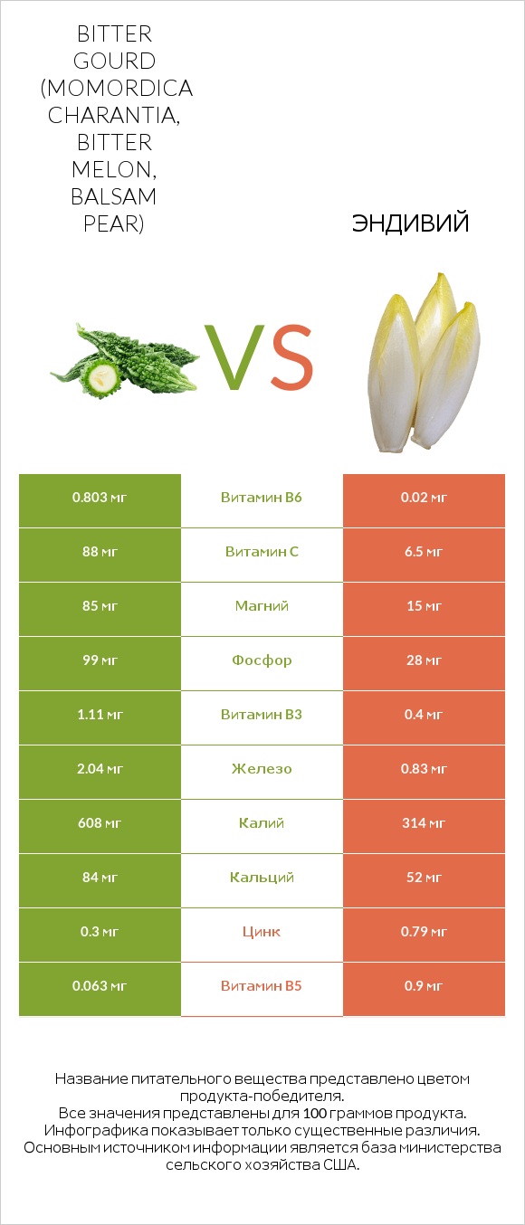 Bitter gourd (Momordica charantia, bitter melon, balsam pear) vs Эндивий infographic