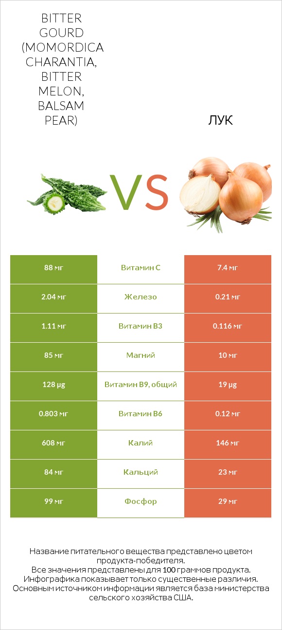 Bitter gourd (Momordica charantia, bitter melon, balsam pear) vs Лук infographic