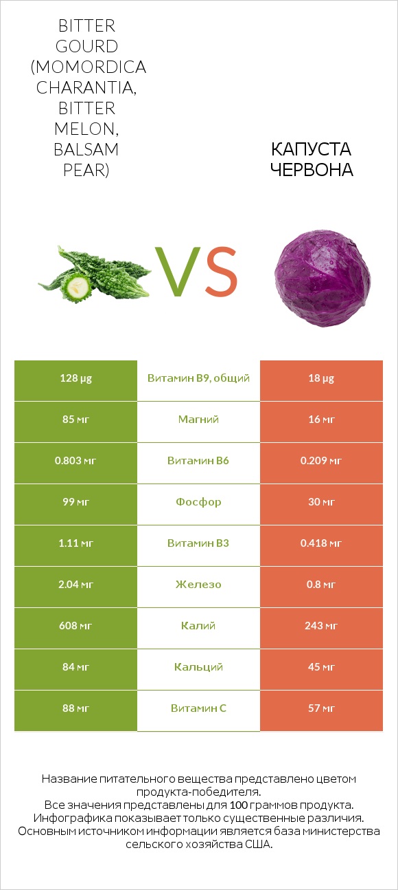 Bitter gourd (Momordica charantia, bitter melon, balsam pear) vs Капуста червона infographic