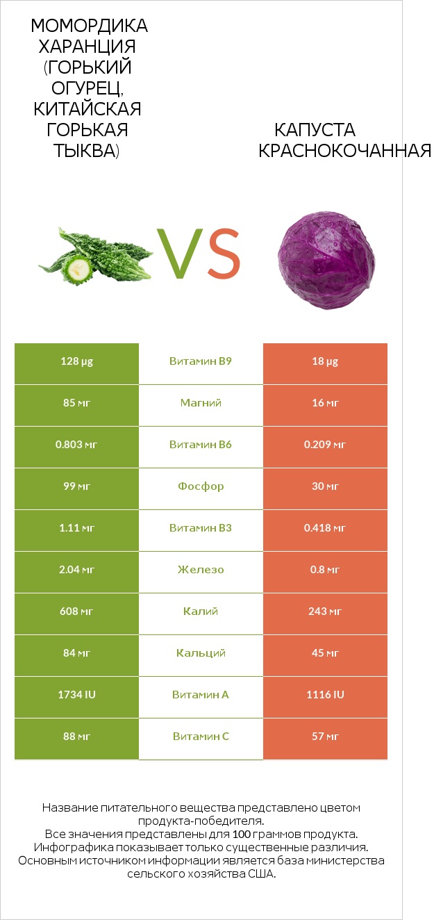 Bitter gourd (Momordica charantia, bitter melon, balsam pear) vs Капуста червона infographic