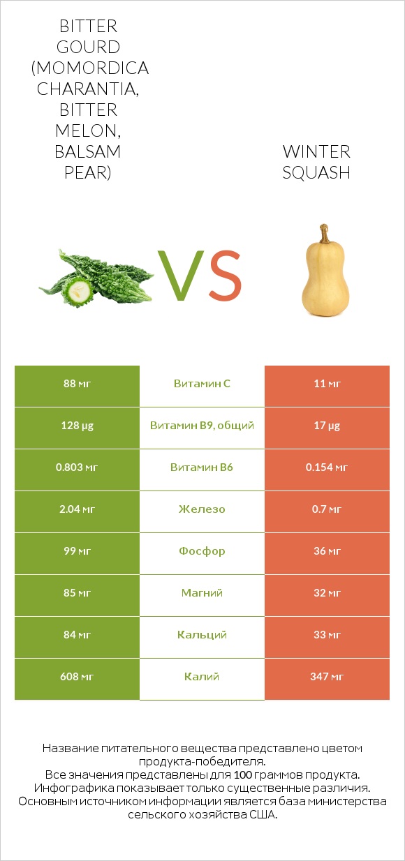 Bitter gourd (Momordica charantia, bitter melon, balsam pear) vs Winter squash infographic