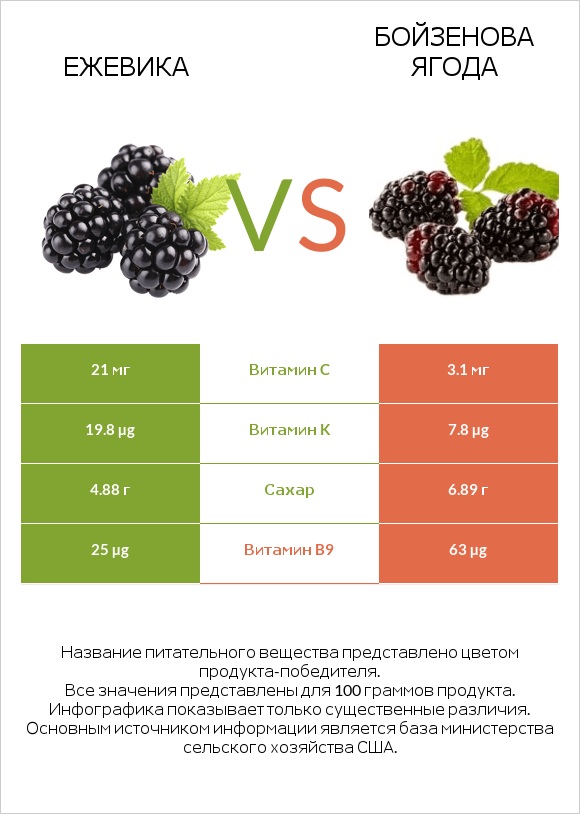 Ежевика vs Бойзенова ягода infographic