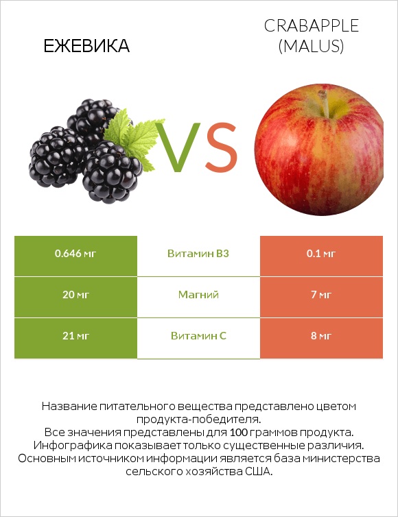 Ежевика vs Crabapple (Malus) infographic