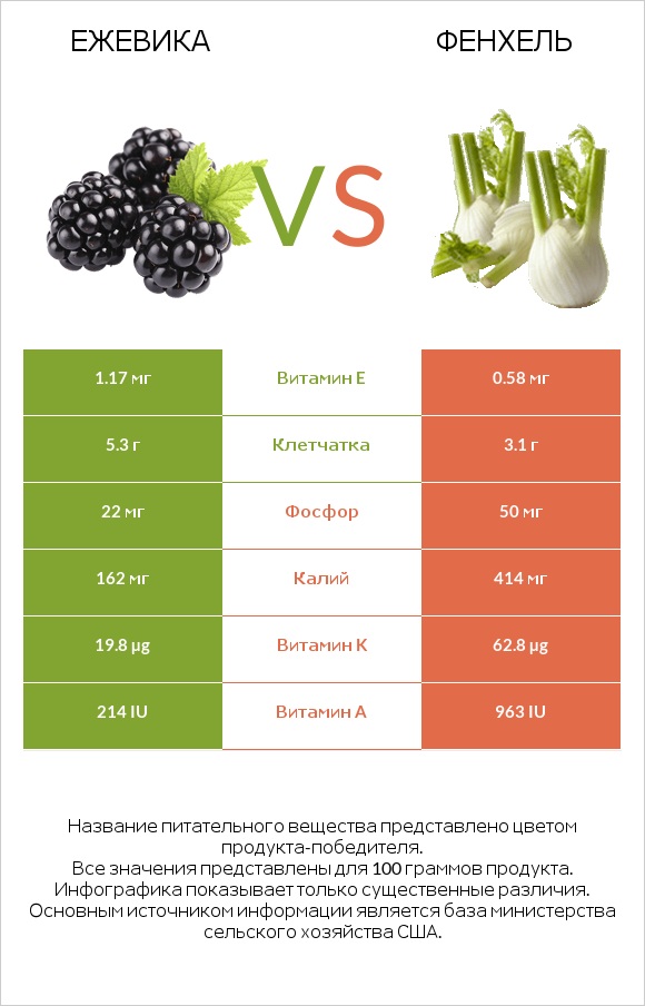 Ежевика vs Фенхель infographic