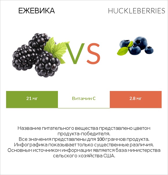 Ежевика vs Huckleberries infographic